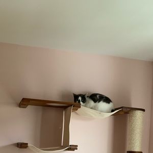 Meet your Posher, Eva